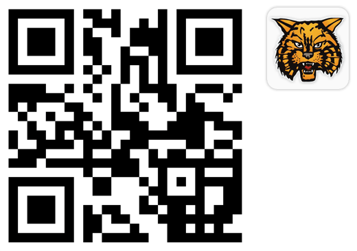 qr code + icon